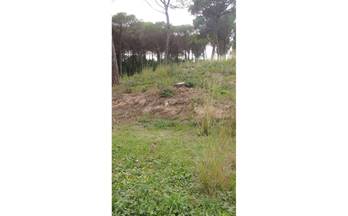 venta finca rustica tordera 