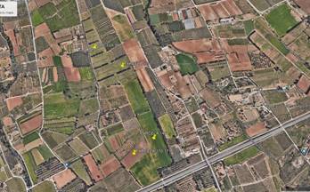 venta finca rustica vinyols i els arcs mas de la mata