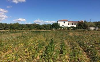 59 terrenos y fincas en venta calafell