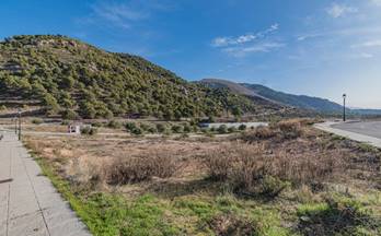 83 terrenos y fincas en venta atarfe