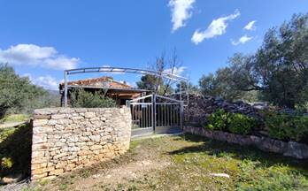 43 terrenos y fincas en venta tivenys