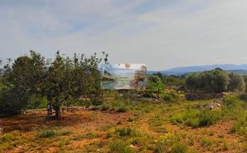 venta terrenos solares vilanova d´alcolea 