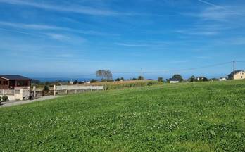 TERRENOS SOLARES en venta Coaña