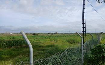 venta finca rustica gibraleon el pintado