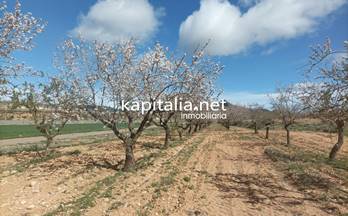 7 terrenos y fincas en venta villena