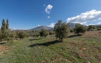 53 terrenos y fincas en venta cogollos de la vega