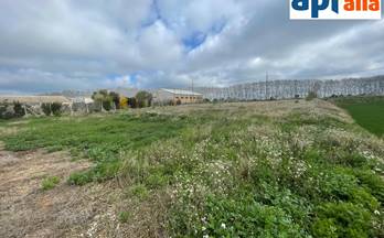 2 terrenos y fincas en venta miralcamp