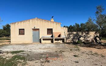 75 terrenos y fincas en venta deltebre