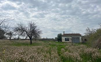 112 terrenos y fincas en venta muro