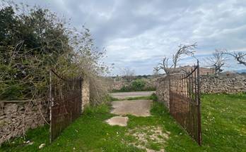 venta finca rustica santa margalida santa margalida