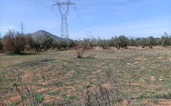 venta finca rustica albolote otras