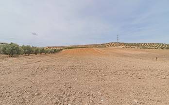 95 terrenos y fincas en venta la malaha