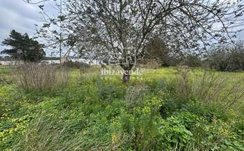 21 terrenos y fincas en venta san lorenzo de balafia