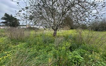 venta terrenos solares san lorenzo de balafia 