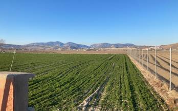 78 terrenos y fincas en venta guevejar