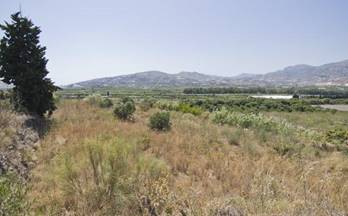 venta finca rustica motril puerto