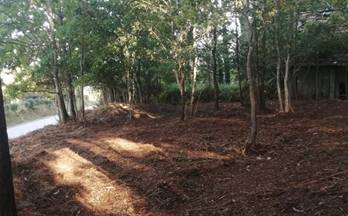 venta finca rustica ponteareas moreira