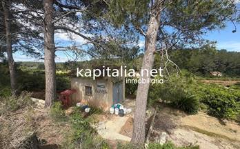 64 terrenos y fincas en venta xativa