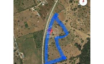 15 terrenos y fincas en venta son servera