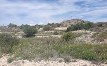 venta finca rustica aspe 