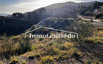 91 terrenos y fincas en venta totalan