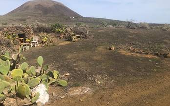 venta terrenos solares haria maguez