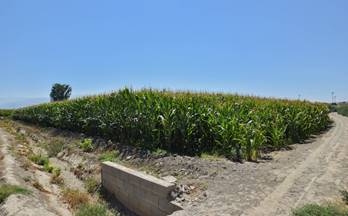 120 terrenos y fincas en venta churriana de la vega