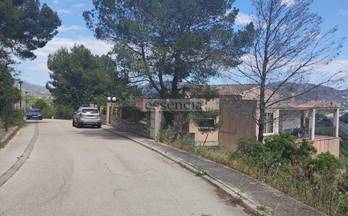 56 terrenos y fincas en venta daimus