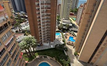 804 pisos en venta el albir