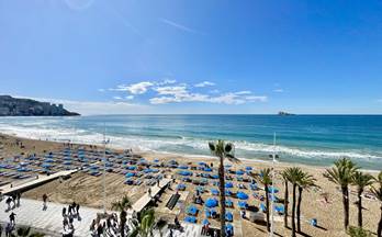 3517 pisos en venta alicante provincia