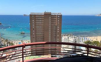 13 estudios en venta benidorm