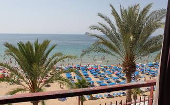 809 pisos en venta el albir