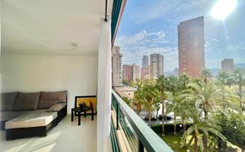 16 apartamentos en alquiler benidorm