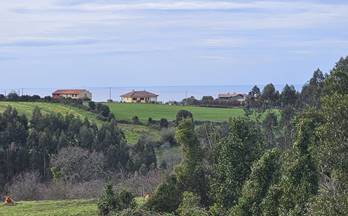 6 terrenos y fincas en venta villaviciosa, asturias