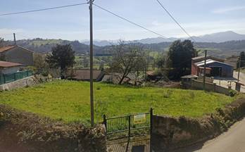 27 terrenos y fincas en venta sariego