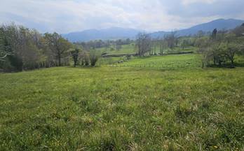 venta terrenos solares piloña piloña