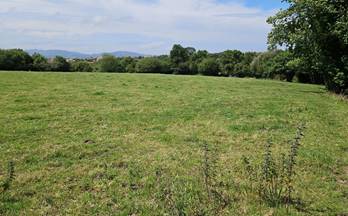 venta terrenos solares villaviciosa quintes