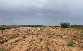 venta finca rustica bollullos par del condado periferia