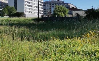 venta terrenos solares ponteareas ponteareas