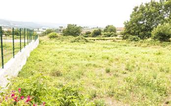 13 terrenos y fincas en venta tui
