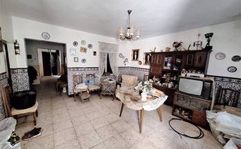 49 casas en venta zafra