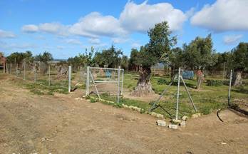 13 terrenos y fincas en venta niebla