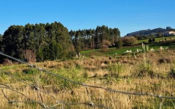 venta terrenos solares villaviciosa quintes-arroes