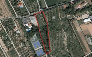 venta terrenos solares amposta favaret