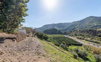 venta casa unifamiliar malaga huerta nueva - jardín de málag