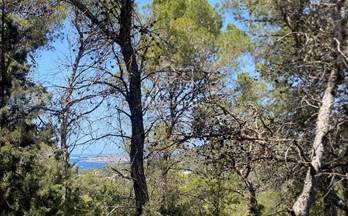 venta terrenos solares sant josep de sa talaia 