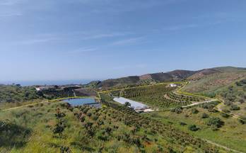 49 terrenos y fincas en venta caleta de velez