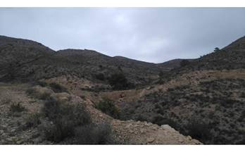 6 terrenos y fincas en venta sant joan d´alacant