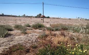 venta terrenos solares elche elx alzabares