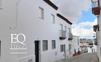 10 casas en venta pobla de guzman